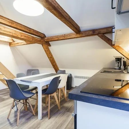 Horsky Temari 15 Klinovec Lägenhet *